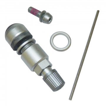 TYRE VALVE TPMS (Long 48mm GT, GTC & Flying Spur - Not Supersports) (OEM) (4D0601361BP)