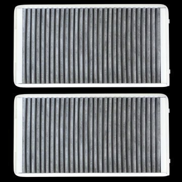 POLLEN FILTER ELEMENT (PAIR) (64310146843P)
