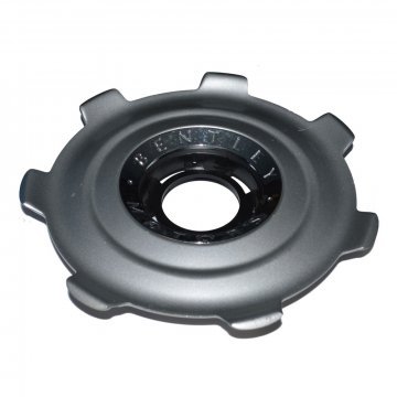 OUTER TRIM RING (3W0601165GU)