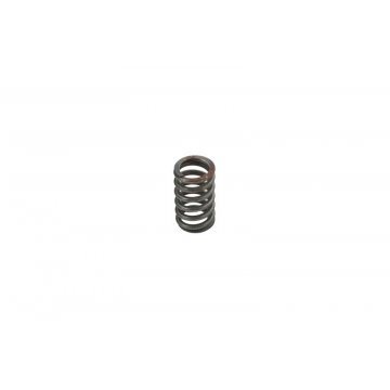 DAMPER SPRING PLATE SPRINGS (6 per damper) (RE3943P)