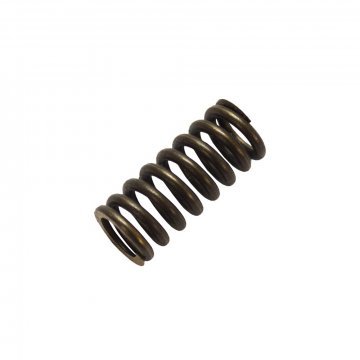 THRUST SPRING FRONT FLYWHEEL (X8 Req) (EW1347P)