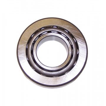 AXLE PINION THRUST BEARING (2 per axle) (UG13550/1P)