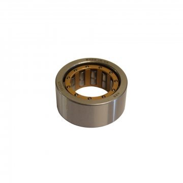 PINION NOSE BEARING (UG3756P)