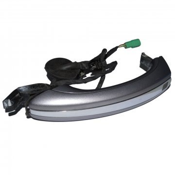 DOOR HANDLE - OUTER KESSY (3W0837205BGRUU)