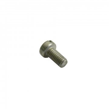 SCREW (2BA Cheesehead) (X1907ZPP)