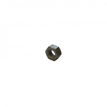 NUT (WHT002867)