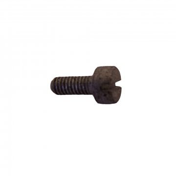 REAR SCREW (Headlamp moulding) (X1704Z)