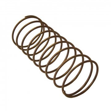 WHEEL CYLINDER SPRING (RG5256P)