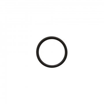 SEALING RING (Fuel pump) (CD4725)