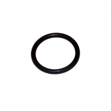 O RING (Dipstick to sump) (GM531917P)