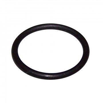 O RING (PS110173PA)