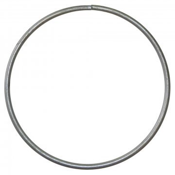 RETAINING RING (RG6342)
