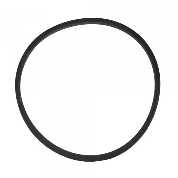 SEALING RING (Oil filter canister to head) (UE30652)