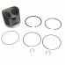 OMEGA PISTON AND RINGS (Standard size - set of 6) (RE14773OM)