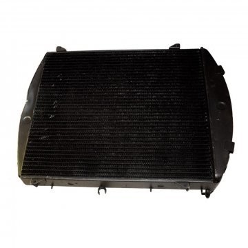 RADIATOR (Later cars with pressurised cooling) (UE1963SXR)