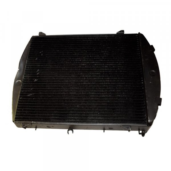 RADIATOR (Later cars with pressurised cooling) (UE1963SXR)