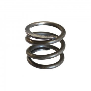 DRIVING SPRING (DB81P)