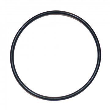 SEALING RING STEERING BOX (UR4209)