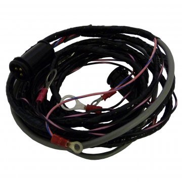 ICE WARNING PROBE (UD26686)