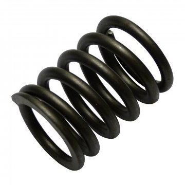 VALVE SPRING (UE9672)